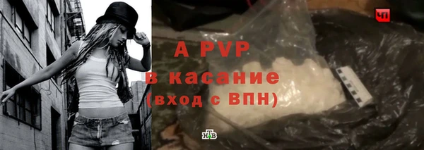 PSILOCYBIN Строитель