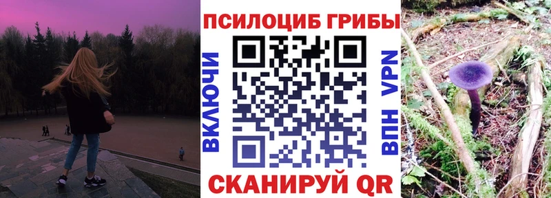 Псилоцибиновые грибы мицелий  хочу   Горно-Алтайск 